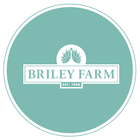 Developer logo